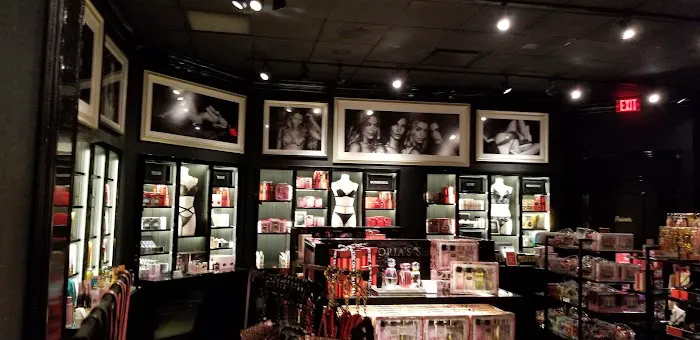 Victoria's Secret & PINK by Victoria's Secret 4