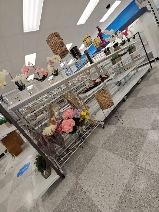Ross Dress for Less 1