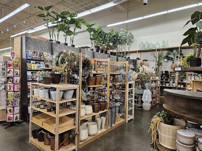 World Market 3