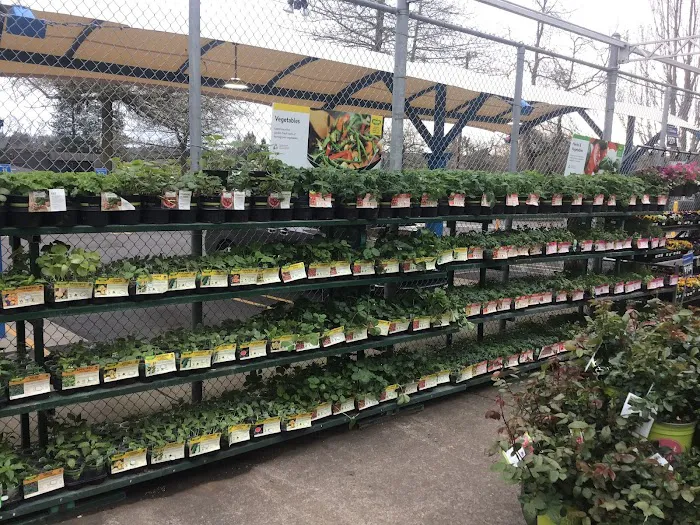 Walmart 1