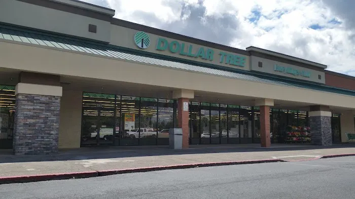 Dollar Tree 1