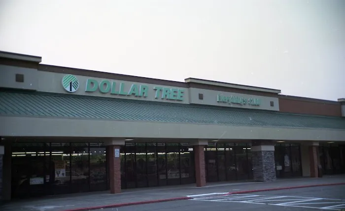 Dollar Tree 6
