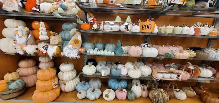 T.J. Maxx 5