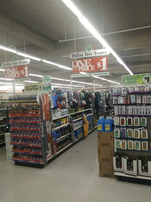 Dollar Tree 5