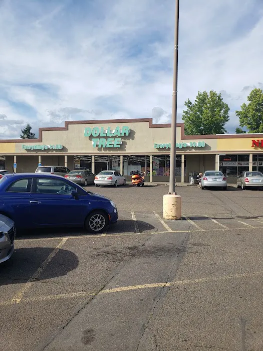 Dollar Tree 9
