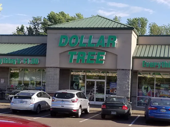 Dollar Tree 6