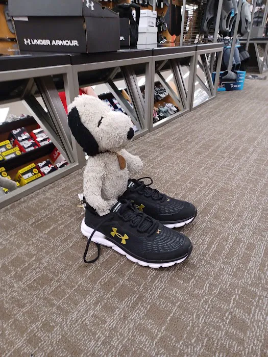 Kohl's 3