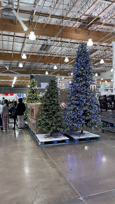 Costco Wholesale 2