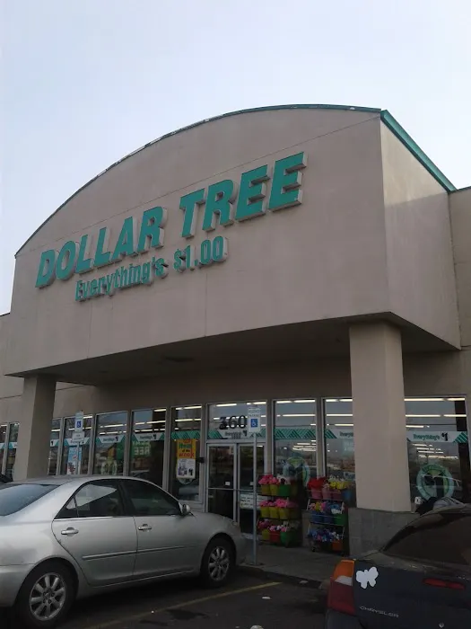 Dollar Tree 3