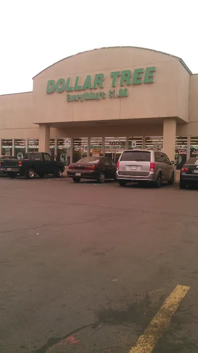 Dollar Tree 6