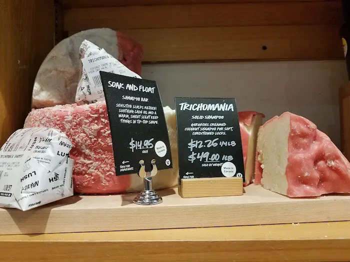 Lush Cosmetics Willowbrook Mall 5