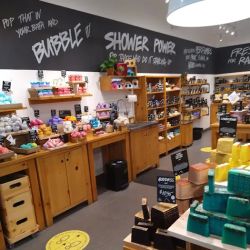 Lush Cosmetics Willowbrook Mall ico