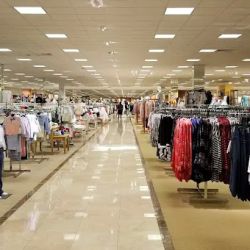 Dillard's ico