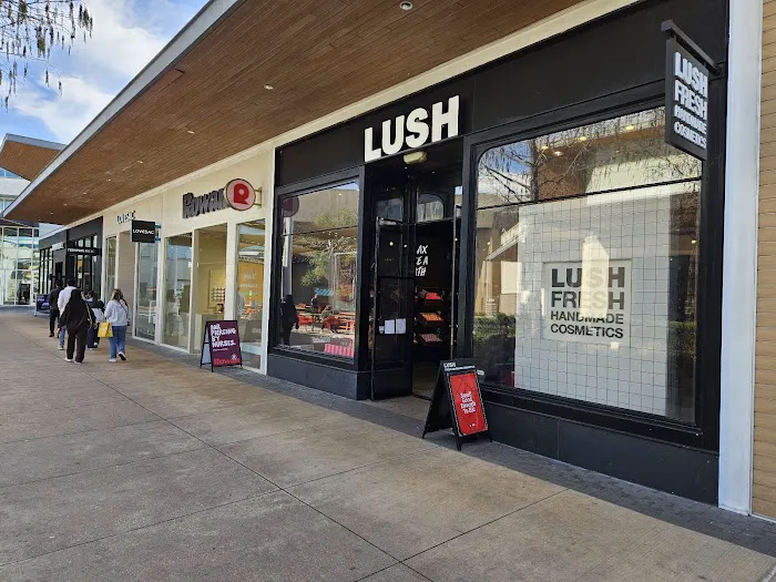 Lush Cosmetics Baybrook 5