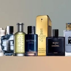 ilah Perfumes ico