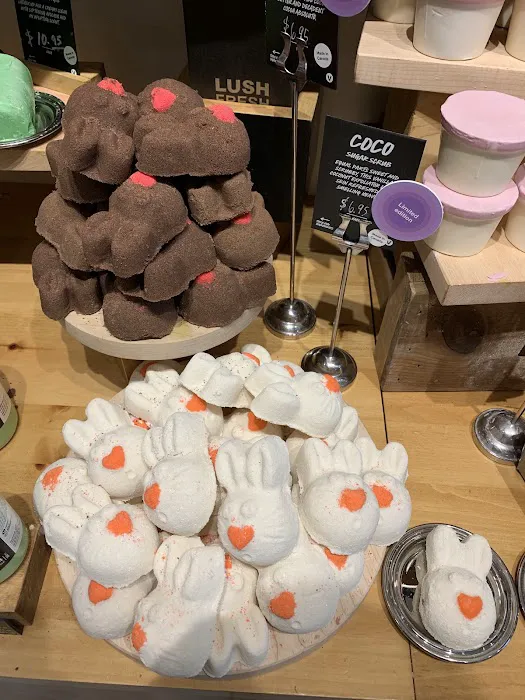 Lush Cosmetics First Colony Mall 3
