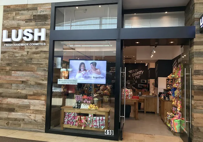 Lush Cosmetics First Colony Mall 0