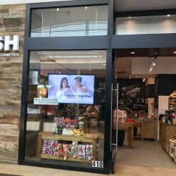 Lush Cosmetics First Colony Mall ico