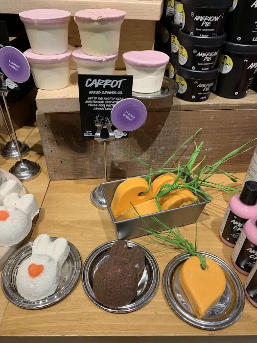 Lush Cosmetics First Colony Mall 5