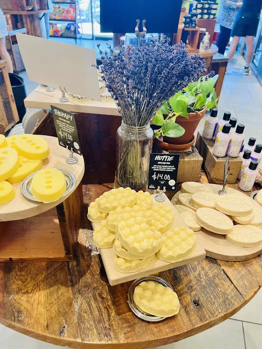 Lush Cosmetics First Colony Mall 7