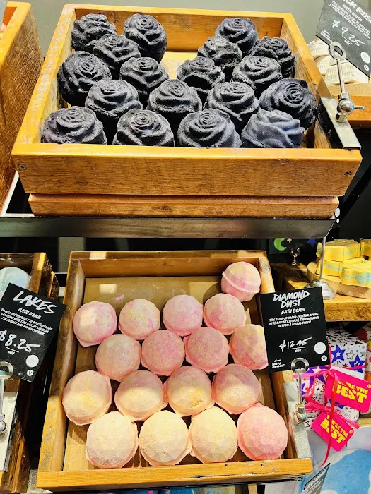 Lush Cosmetics First Colony Mall 8