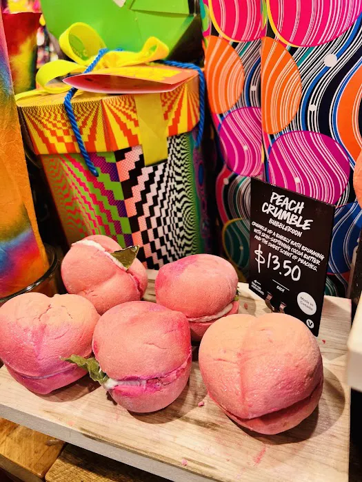Lush Cosmetics First Colony Mall 6