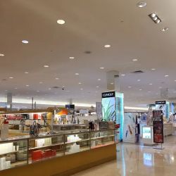 Dillard's ico