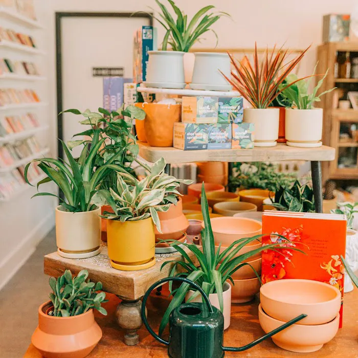 Pink Moon Mercantile 9