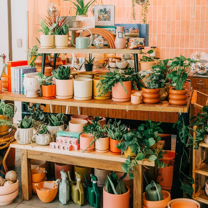 Pink Moon Mercantile 5