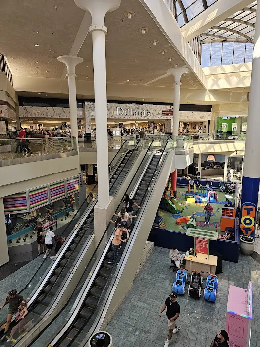 Dillard's 8