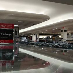 Dillard's ico