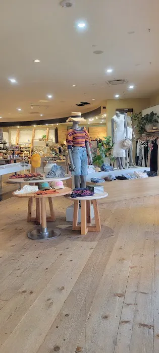 Anthropologie 6