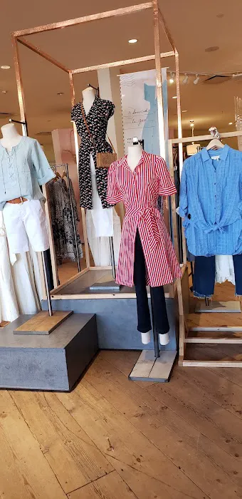 Anthropologie 9