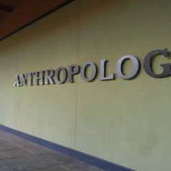 Anthropologie ico