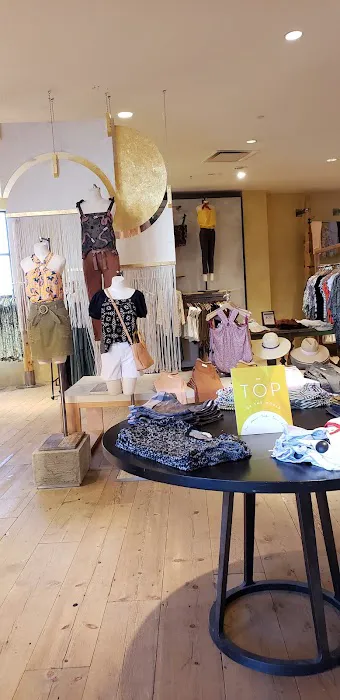 Anthropologie 1