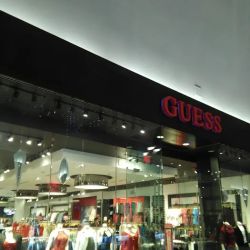 GUESS ico