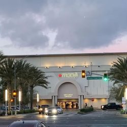 Macy's ico