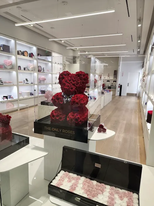 CHANEL FRAGRANCE AND BEAUTY BOUTIQUE 0