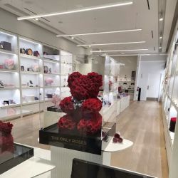 CHANEL FRAGRANCE AND BEAUTY BOUTIQUE ico