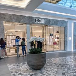 DIOR Santa Clara Valley Fair ico