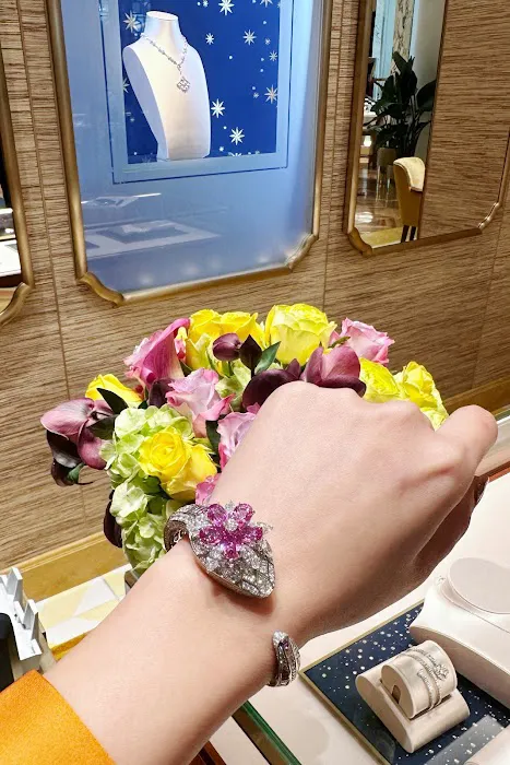 BVLGARI 6
