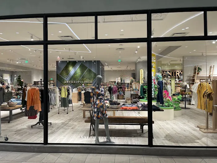 Anthropologie 2