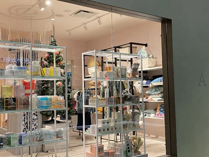 Anthropologie 4