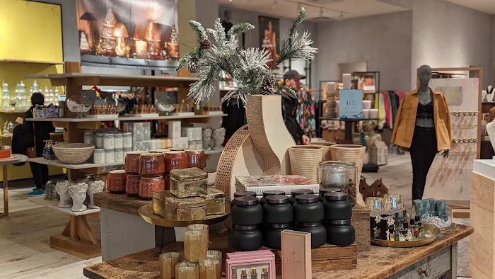 Anthropologie 3