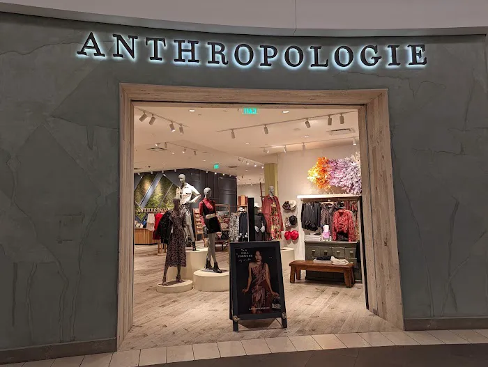 Anthropologie 8