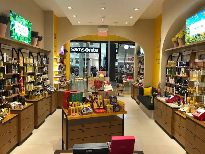 L'OCCITANE EN PROVENCE 5