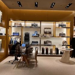 Louis Vuitton Santa Clara Valley Fair ico