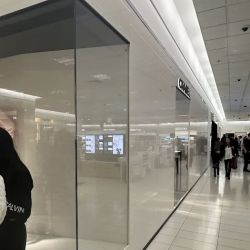 CHANEL ico