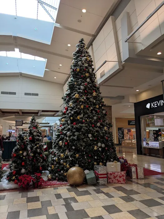 Macy's 6
