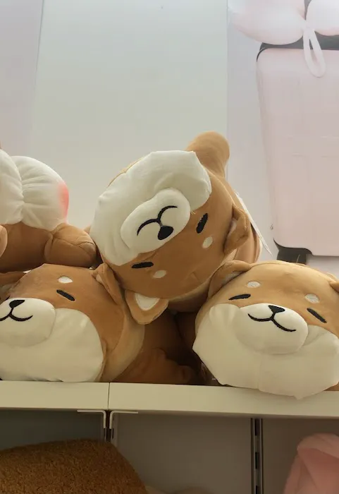 MINISO USA 3